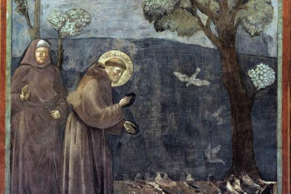 s.francis